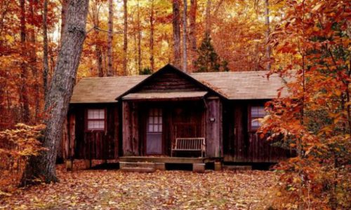 cropped-holzhaus_wald_herbst_header.jpg